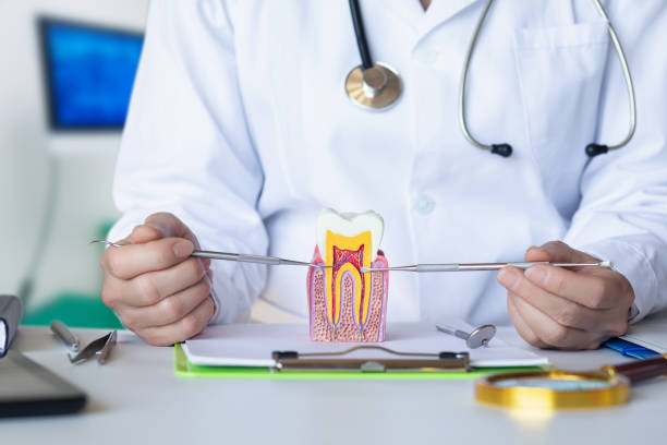 Best Emergency Dentist for Lost Fillings or Crowns in Monument Beach, MA
